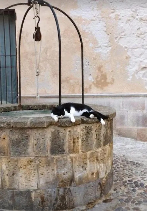 Appartamento Il Palco Alghero